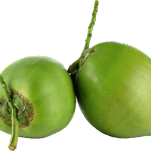 12-Pack Fresh Young Coconuts