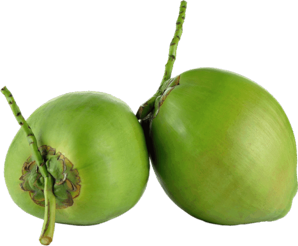 12-Pack Fresh Young Coconuts